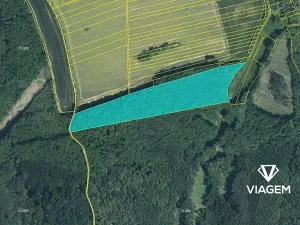 Prodej podílu lesa, Nedachlebice, 939 m2
