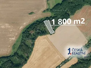 Prodej lesa, Skalice, 1800 m2