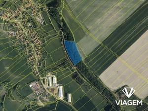 Prodej podílu lesa, Řepníky, 4900 m2