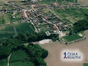 Prodej lesa, Přísnotice, 1089 m2