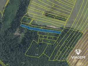 Prodej lesa, Medlice, 3003 m2