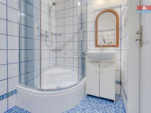 Pronájem bytu 1+kk, Plzeň, Barákova, 31 m2