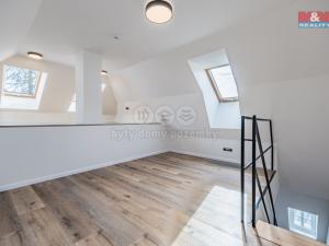 Prodej bytu 3+kk, Vítkovice, 102 m2