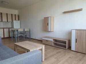 Pronájem bytu 2+kk, Brno, Svážná, 47 m2