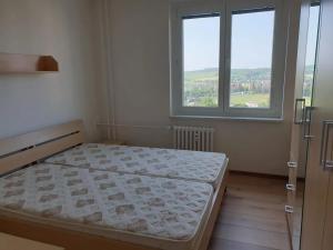 Pronájem bytu 2+kk, Brno, Svážná, 47 m2