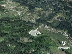 Prodej lesa, Vsetín, Rokytnice, 10655 m2