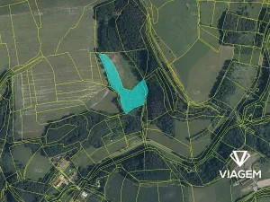 Prodej lesa, Zádveřice-Raková, 12292 m2