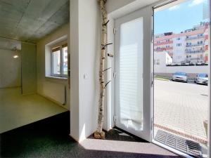 Prodej bytu 1+kk, Brno, Sentická, 68 m2