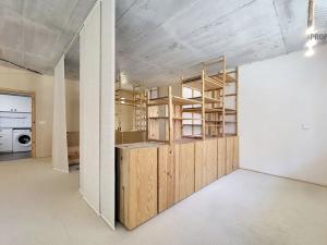 Prodej bytu 1+kk, Brno, Sentická, 68 m2