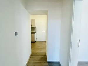 Pronájem bytu 3+kk, Praha, 100 m2