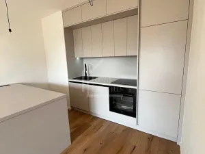 Pronájem bytu 2+kk, Praha, Ramonova, 50 m2
