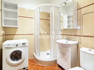 Pronájem bytu 1+kk, Praha - Vinohrady, Sázavská, 35 m2