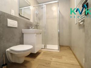 Pronájem bytu 2+kk, Ostrov, Lidická, 54 m2