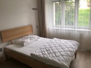 Pronájem bytu 2+kk, Olomouc, Wolkerova, 40 m2