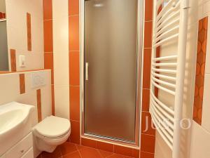 Pronájem bytu 1+1, Ústí nad Labem, Kmochova, 33 m2