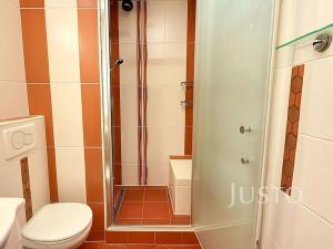 Pronájem bytu 1+1, Ústí nad Labem, Kmochova, 33 m2