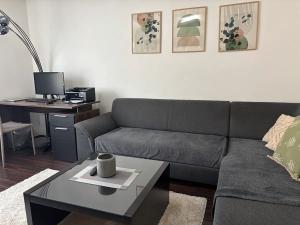 Pronájem bytu 2+1, Zlín, Růžová, 70 m2