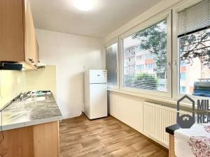 Pronájem bytu 1+1, Liberec, Na Jezírku, 43 m2