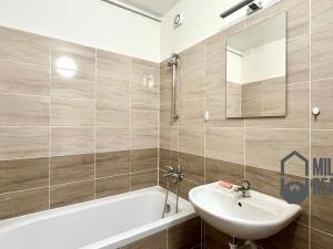 Pronájem bytu 1+1, Liberec, Na Jezírku, 43 m2