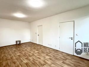 Pronájem bytu 1+1, Liberec, Na Jezírku, 43 m2