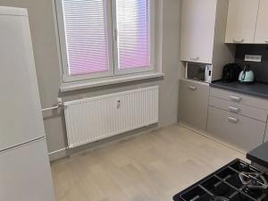 Pronájem bytu 3+1, Cheb, Dvořákova, 75 m2