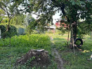 Prodej rodinného domu, Veselí nad Moravou, Fügnerova, 90 m2