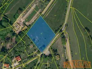 Prodej pozemku pro bydlení, Vyškovec, 4000 m2