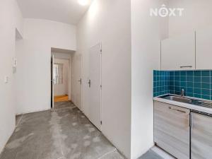 Prodej bytu 1+1, Praha - Nové Město, Palackého náměstí, 123 m2