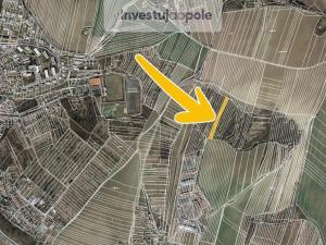 Prodej lesa, Bučovice - Vícemilice, 3433 m2