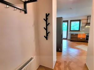 Pronájem bytu 2+kk, Brno, Pekařská, 54 m2