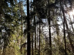 Prodej pozemku, Slabčice, 13278 m2