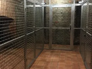 Pronájem bytu 2+1, Praha - Vinohrady, Perunova, 70 m2