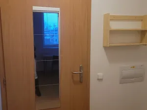 Pronájem bytu 1+kk, Brno, Vídeňská, 22 m2