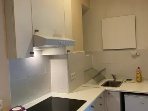Pronájem bytu 2+1, Praha - Žižkov, Jičínská, 40 m2