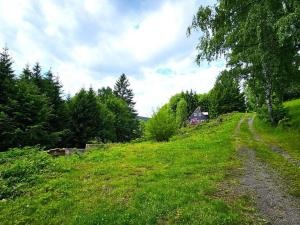 Prodej pozemku, Albrechtice v Jizerských horách - Mariánská Hora, 1587 m2