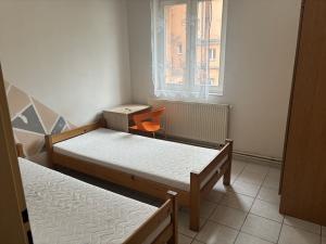 Pronájem ubytování, Brno, Cejl