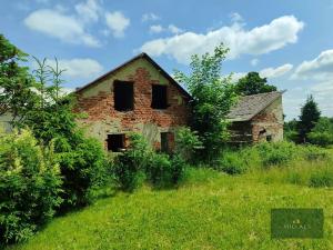 Prodej ubytování, Nová Ves, 250 m2