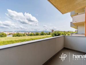 Pronájem bytu 1+kk, Olomouc, Aloise Rašína, 30 m2