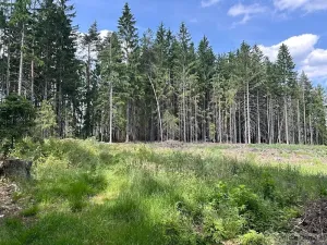 Prodej chalupy, Dudín, 90 m2