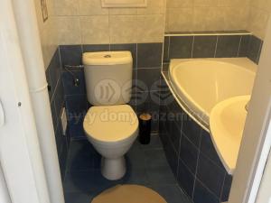 Pronájem bytu 1+1, Pardubice - Bílé Předměstí, Na Okrouhlíku, 30 m2