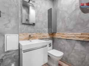 Pronájem bytu 1+kk, Petrovice, 34 m2