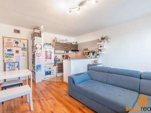Prodej bytu 2+kk, Ústí nad Labem, Žežická, 49 m2