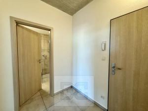 Pronájem bytu 1+kk, Brno, 38 m2