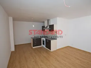 Pronájem bytu 1+kk, Plzeň, Sušická, 36 m2