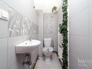 Prodej bytu 3+kk, Plzeň, Lipová, 66 m2