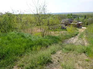 Dražba pole, Dolní Kounice, 1582 m2