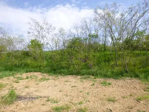 Dražba pole, Dolní Kounice, 1582 m2