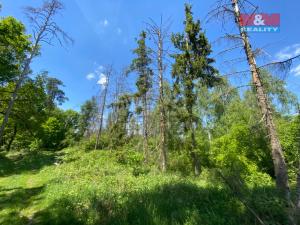 Prodej lesa, Kropáčova Vrutice - Sušno, 15167 m2