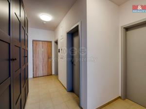 Pronájem bytu 2+kk, Plzeň, Měděná, 69 m2