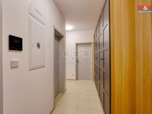 Pronájem bytu 2+kk, Plzeň, Měděná, 69 m2